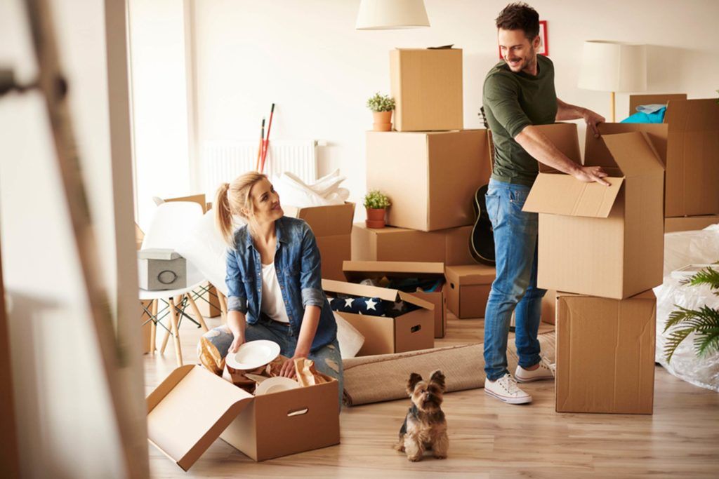 New Moves Removals: Your Trusted Partner for Stress-Free Moving new moves removals