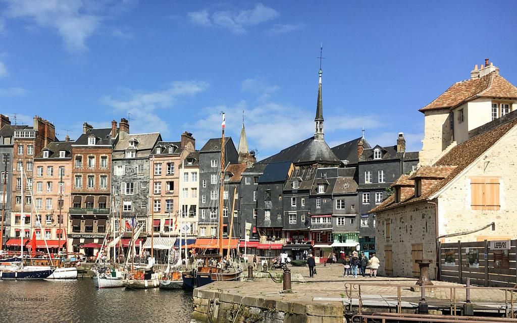 Straemyard: A Complete Guide to the Emerging Digital Platform straemyard