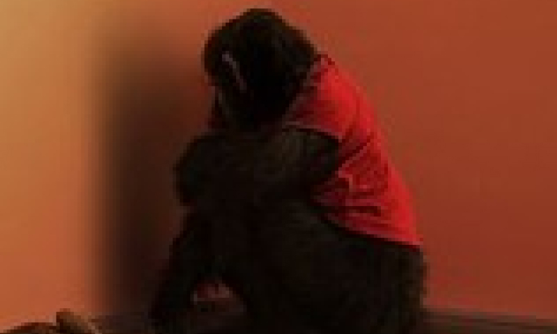 Why Primate Is Winning Over Viewers Who Love Smart Thrillers Primate